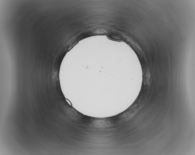 X0000110920521200907161522