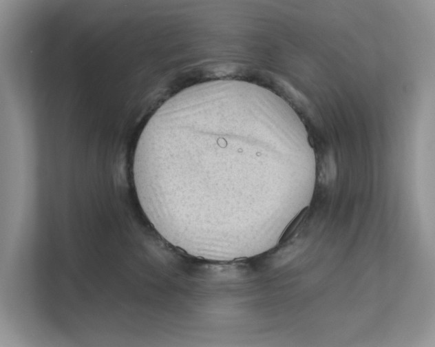 X0000110920524200907161522