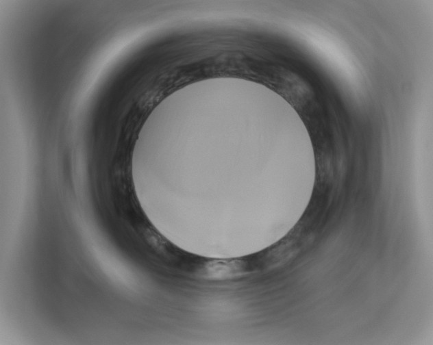 X0000110920526200907161521