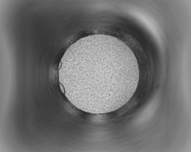 X0000110920527200907161521