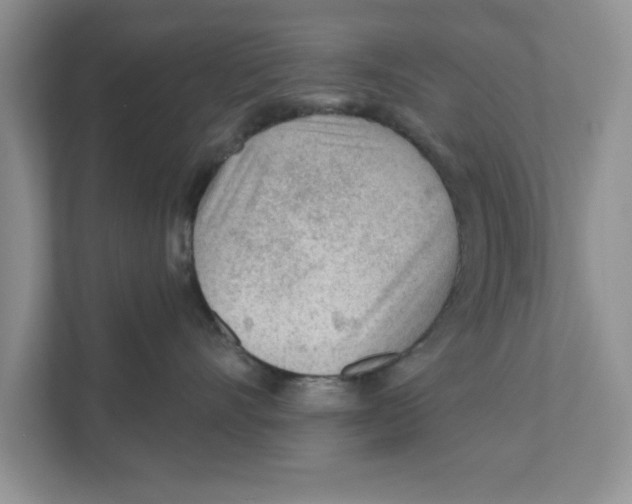 X0000110920528200907161521