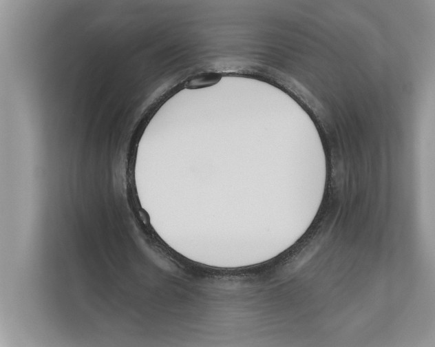 X0000110920530200907161521