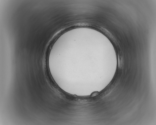 X0000110920531200907161521