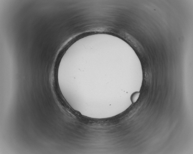 X0000110920532200907161521