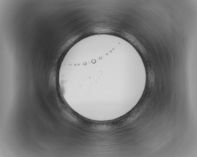 X0000110920533200907161521