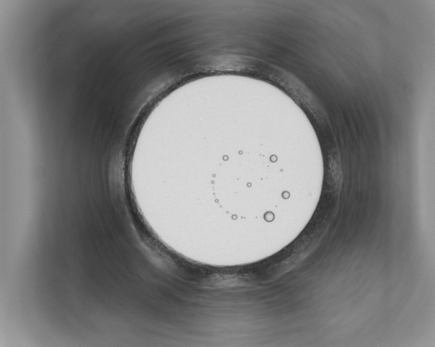 X0000110920534200907161521