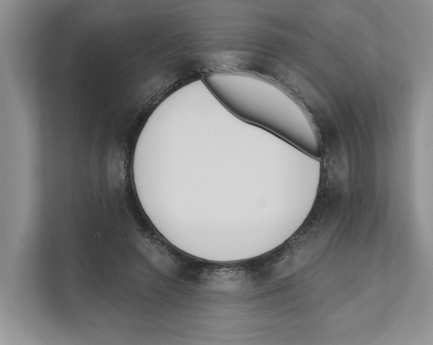 X0000110920546200907161521