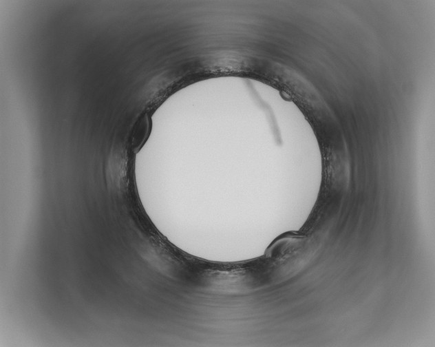 X0000110920548200907161521