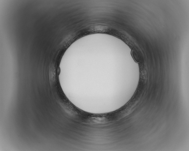 X0000110920552200907161521