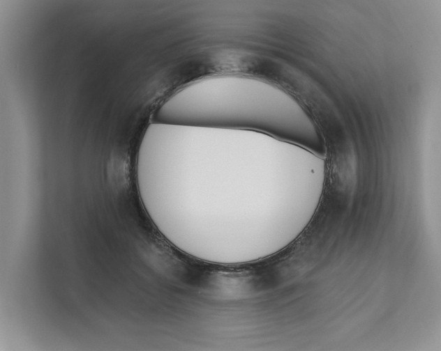 X0000110920556200907161521