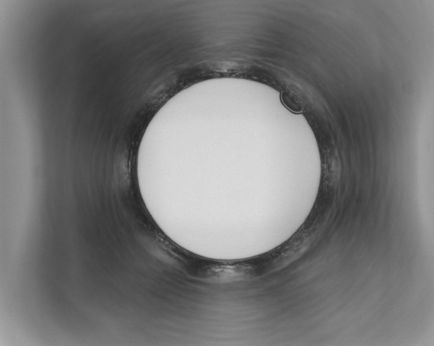 X0000110920558200907161521