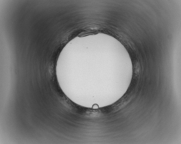 X0000110920559200907161521