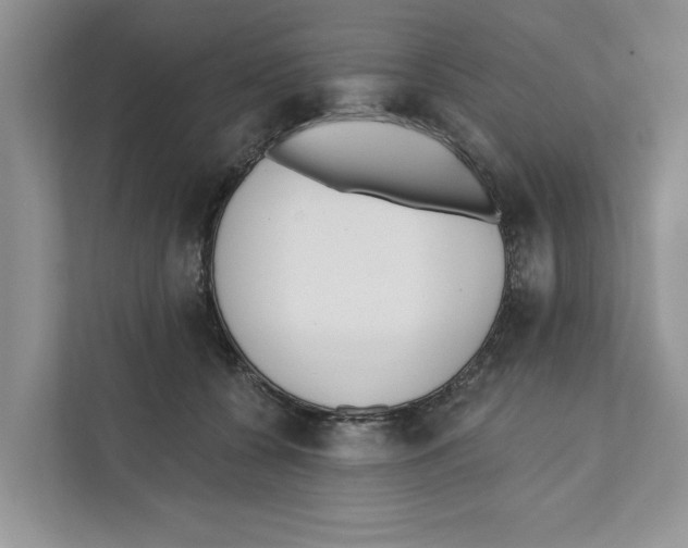 X0000110920560200907161521