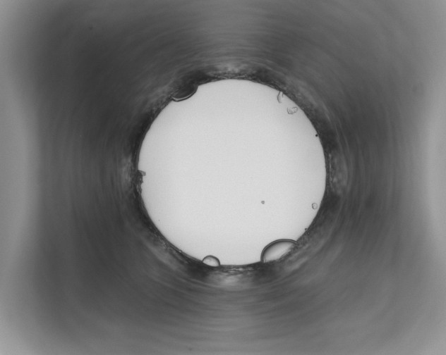 X0000110920563200907161521