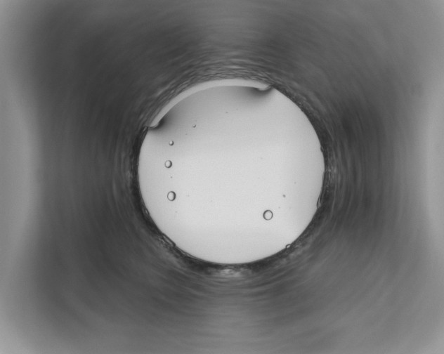 X0000110920566200907161521