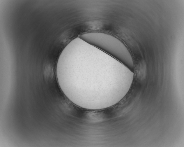 X0000110920568200907161521