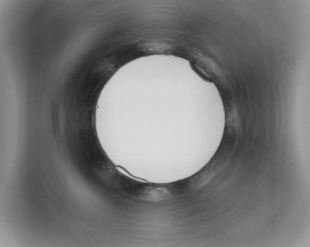 X0000110920572200907161521