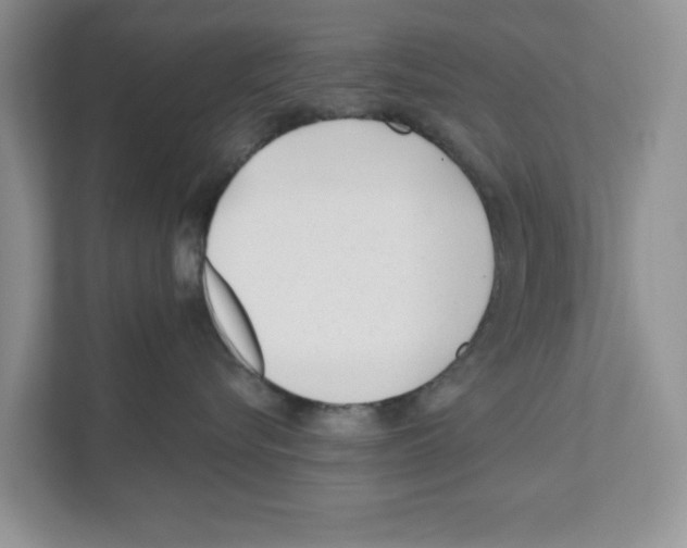 X0000110920576200907161521