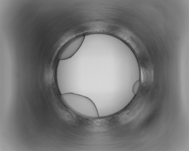 X0000110920579200907161521