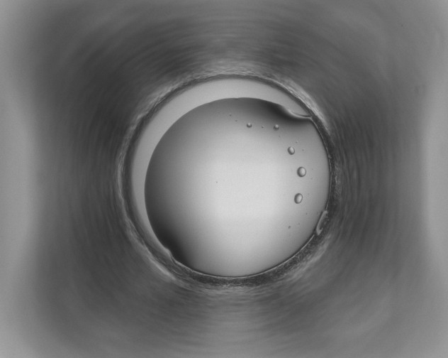 X0000110920581200907161521