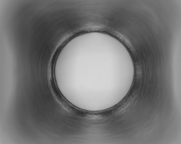 X0000110920582200907161521