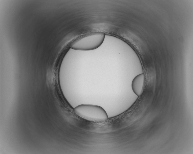 X0000110920583200907161521