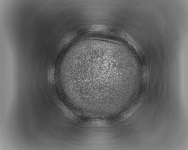 X0000110920585200907161521