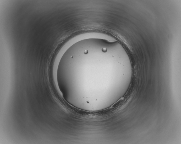 X0000110920589200907161521