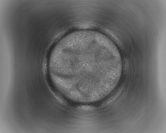X0000110920590200907161521