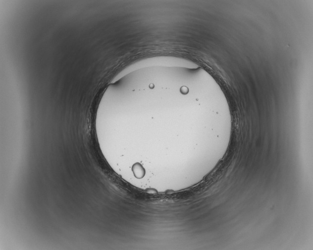 X0000110920593200907161521