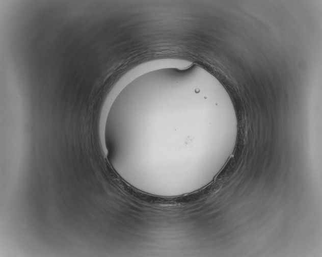 X0000110920595200907161521
