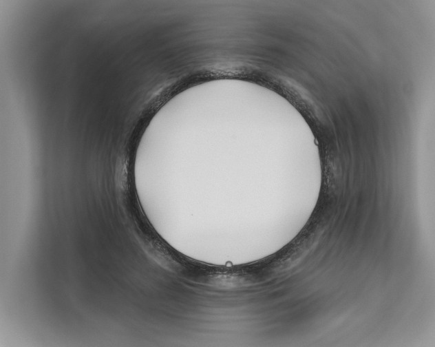 X0000110920596200907161521