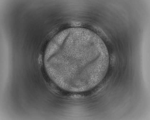 X0000110920598200907161521