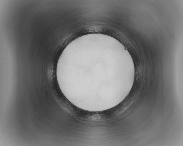 X0000110920600200907161521