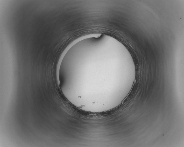 X0000110920601200907161521