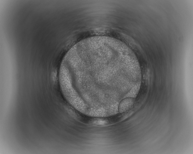 X0000110920610200907161520