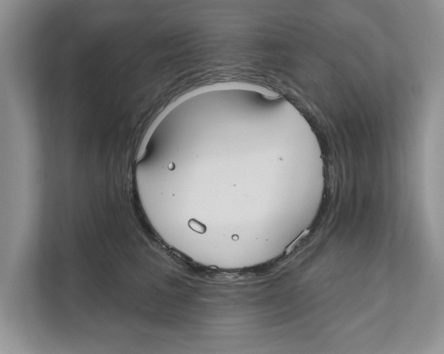 X0000110920613200907161520