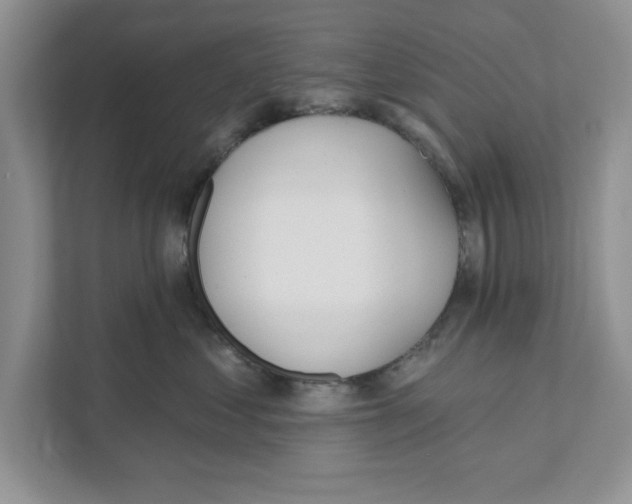 X0000110920621200907161520