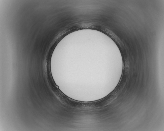 X0000110920626200907161519