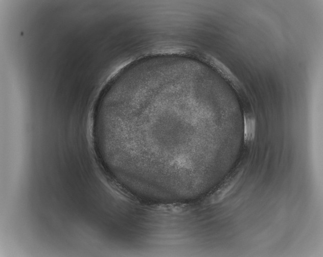 X0000110920627200907161519