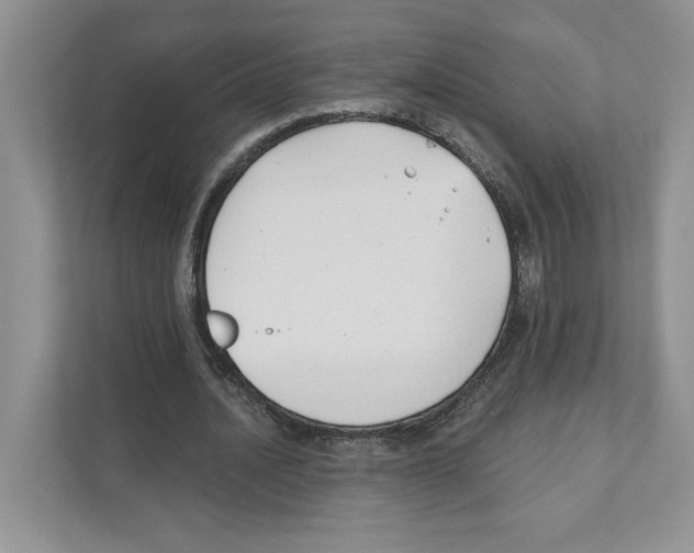 X0000110920628200907161519