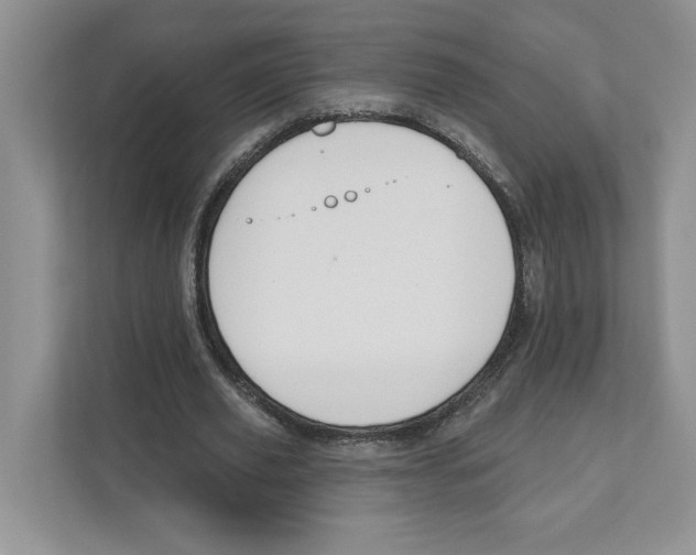 X0000110920629200907161519