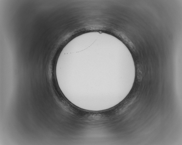 X0000110920631200907161519