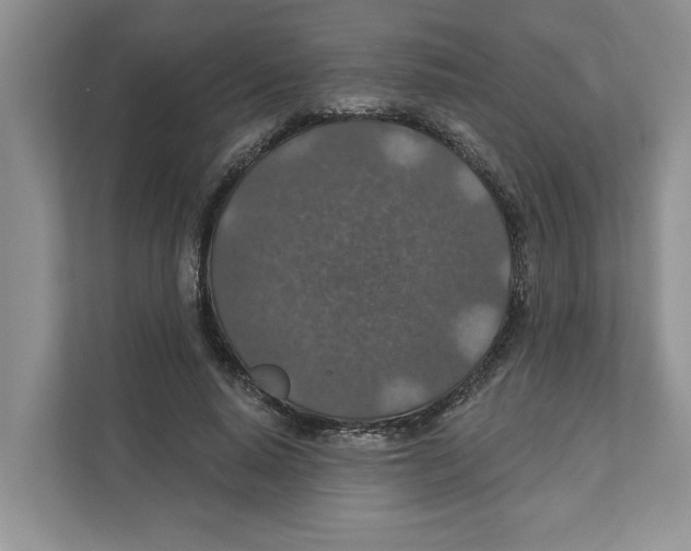 X0000110920640200907161520