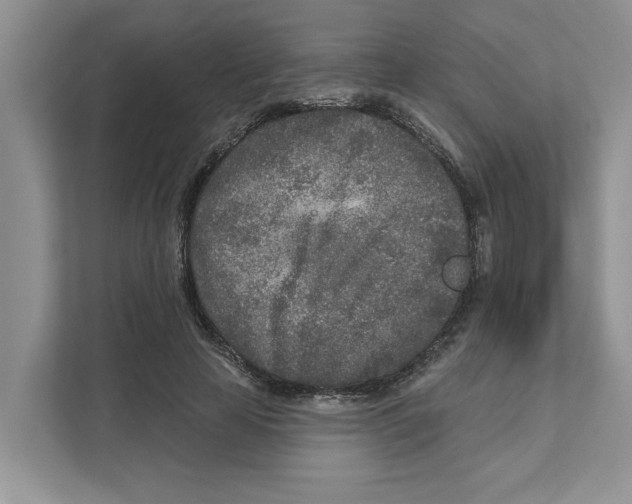 X0000110920641200907161520