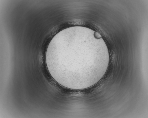 X0000110920643200907161520