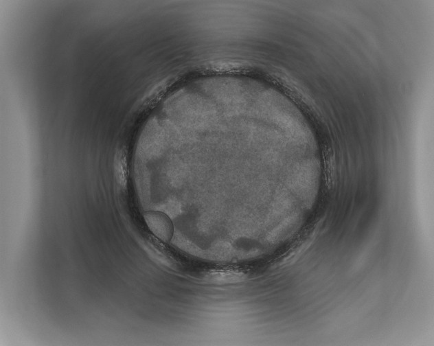 X0000110920644200907161520