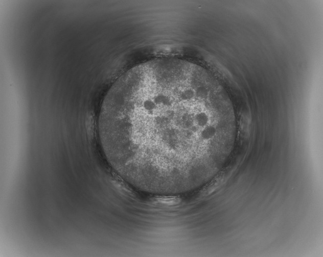 X0000110920659200907161520