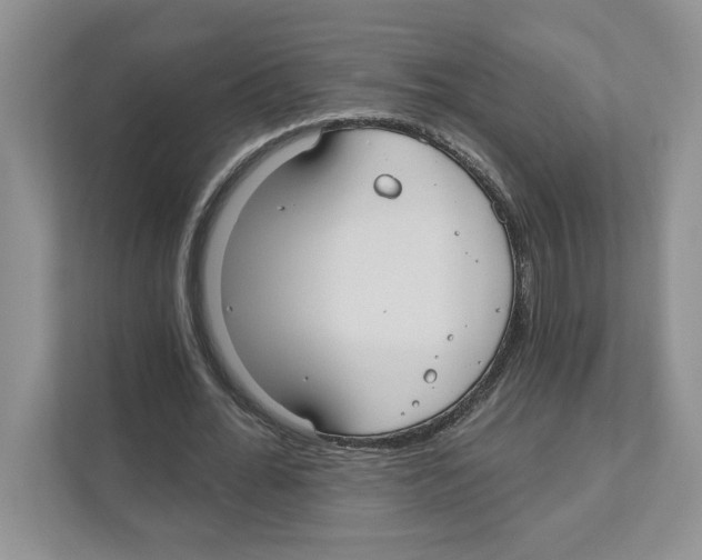 X0000110920676200907161519