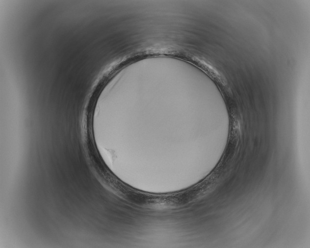 X0000110920678200907161519